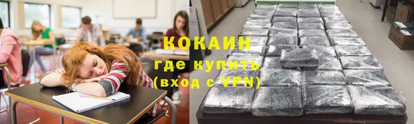 дмт Гусев