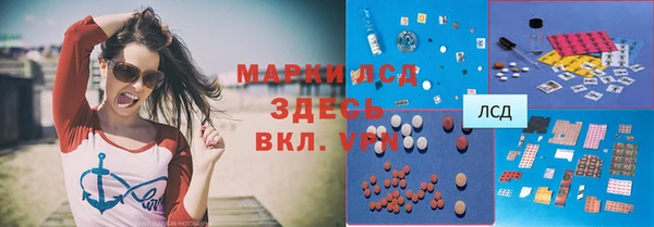 дмт Гусев