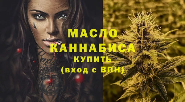 дмт Гусев
