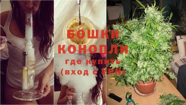 дживик Гусь-Хрустальный