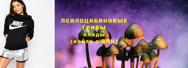 дмт Гусев