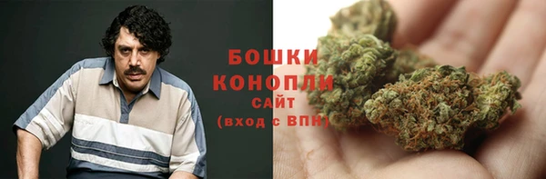 дмт Гусев