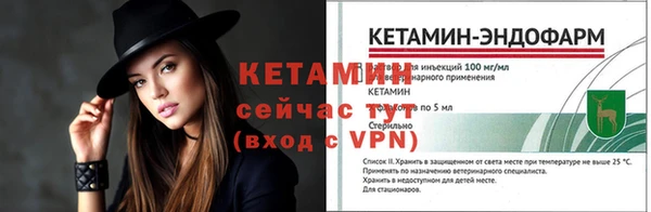 дмт Гусев