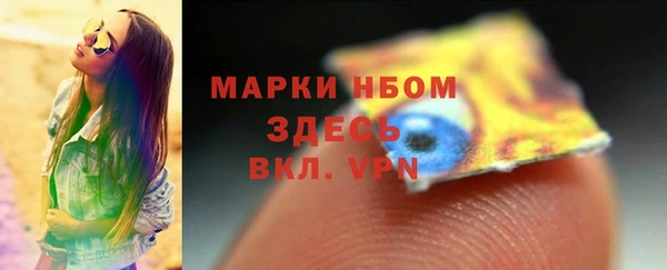 дживик Гусь-Хрустальный