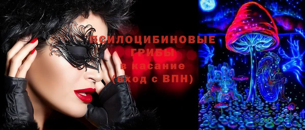 дмт Гусев
