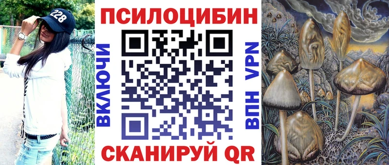 как найти   Пустошка  Псилоцибиновые грибы ЛСД 