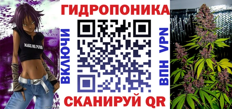 hydra ССЫЛКА  купить наркоту  Пустошка  Конопля ГИДРОПОН 